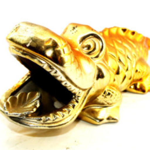 Golden Crocodile Leaks