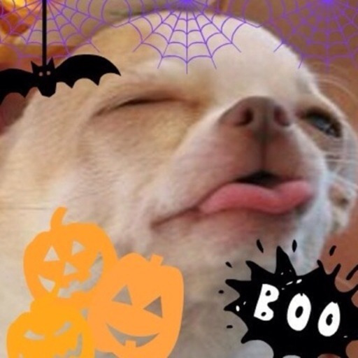 weedjoke420:  what am i gonna be for halloween???? an emotional