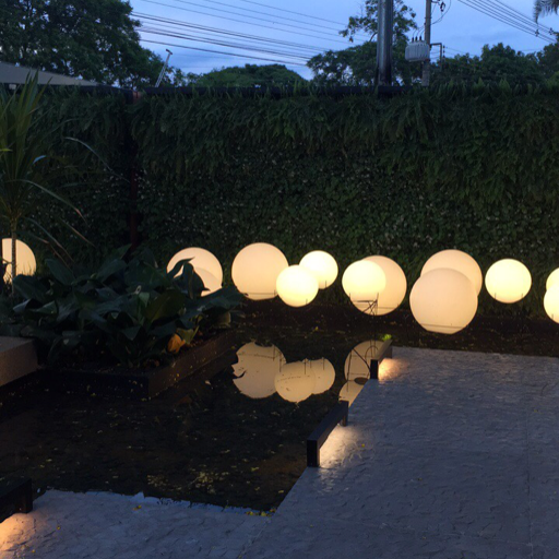 Shiny Moon