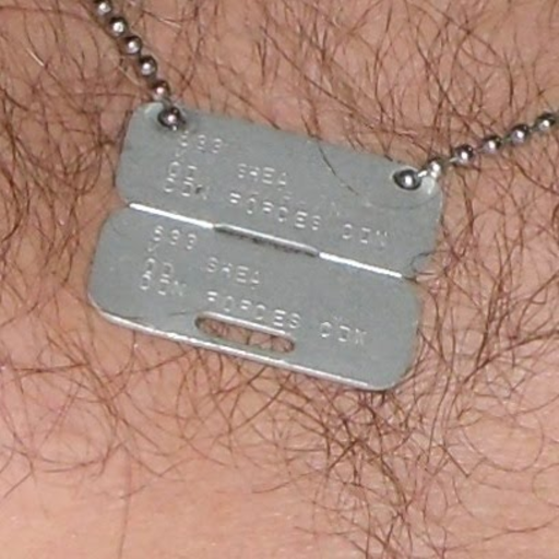 militarymencollection:  http://militesgloriosi.tumblr.com