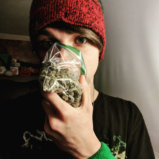 420cannabisgoddess:  Reblog if you’re stoned