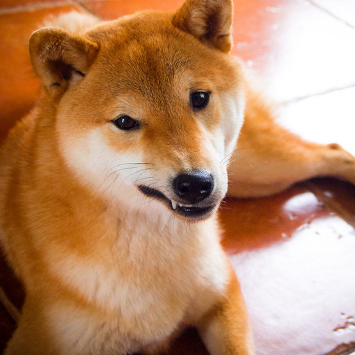 tastefullyoffensive:  When the floor is lava but your human needs