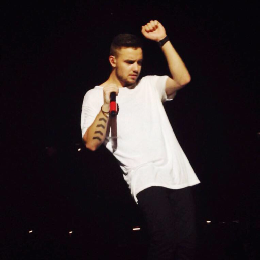 Zayn doesn't tweet quotes anymore, Harry makes sense, Niall keeps