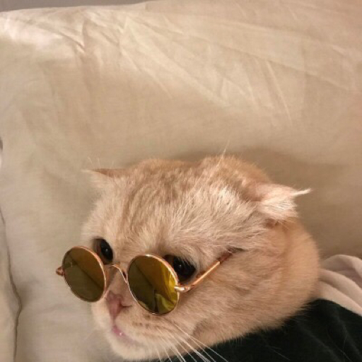 talk to me pls I'm in a good mood :) 