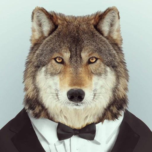 A wolf
