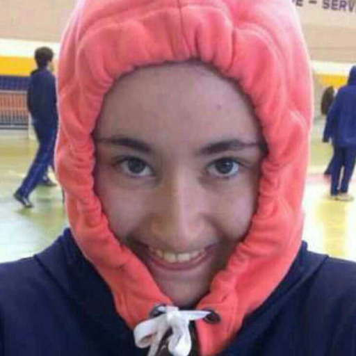 Meu cabelo:
