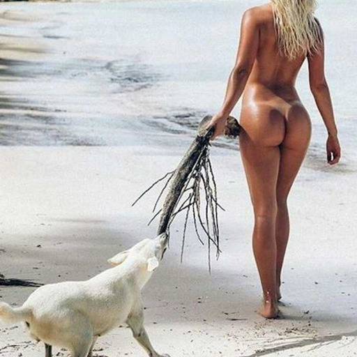 jacksnewdick:  nudeanimals:  #nudeanimalsandowners     At Play