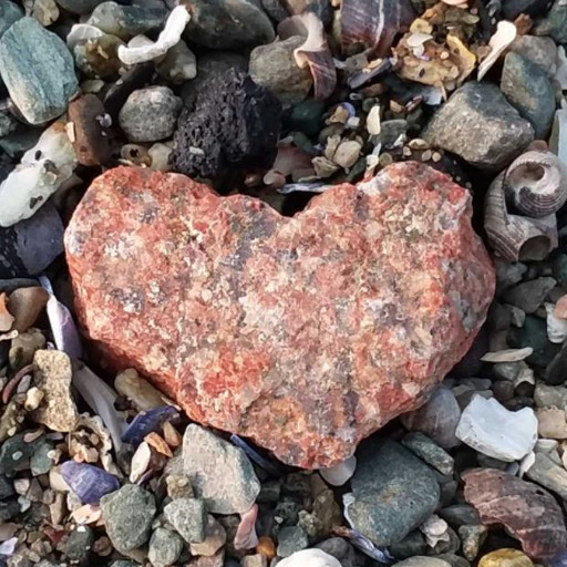 seaglass-n-sanddollars:  animalwoonz:  Cuteness 😊