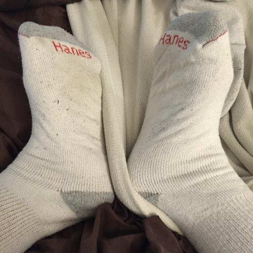 zilan23:        Eli Lincoln sporting some white Hanes crew socks