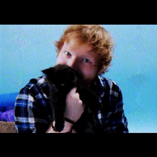 cats-and-sheeran:  Divide is the kind of album where you don’t