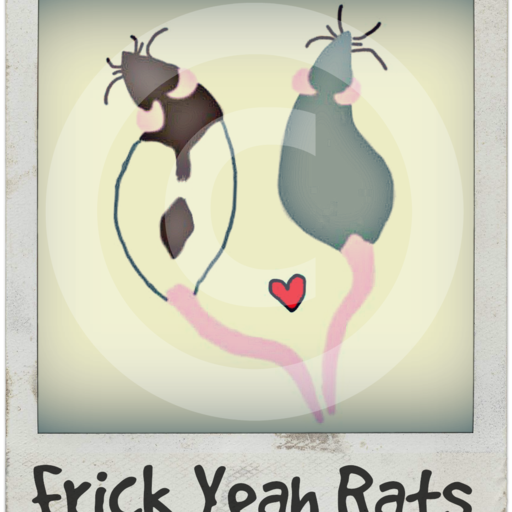 Frick Yeah Rats!