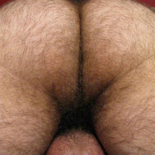hairybearballs:  hairymanlover89:  jockdays:  Hot studs, hung