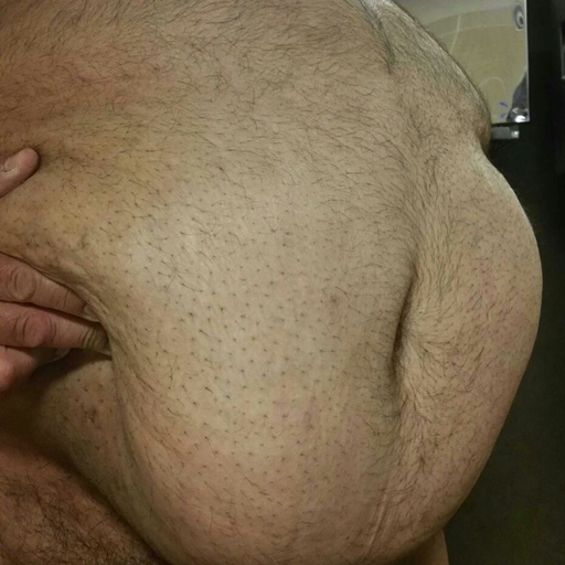 beargasm:  admiradordegordos:  gordoputousa:  PRECUM king again