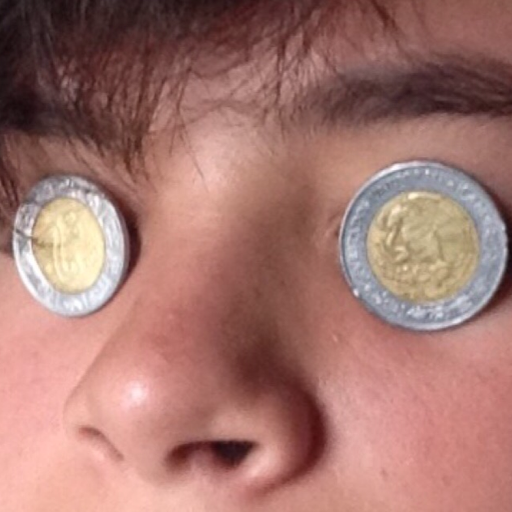 theothersilhouette:  yolosawggins:  worthlessailurophile:  Friend:*walks
