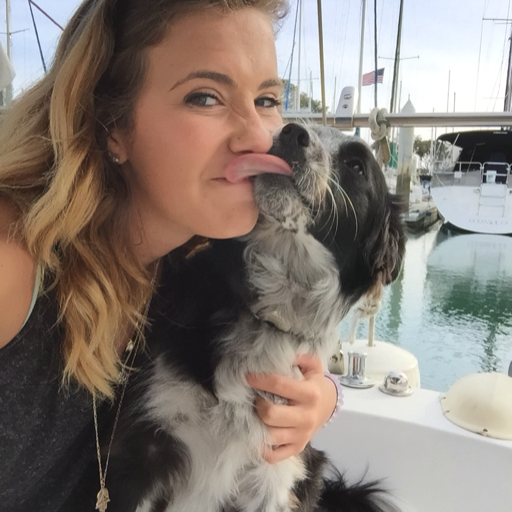 pippaservicedog:  No. I’m not training her. No, I don’t have