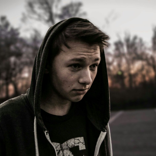 Ich bin Eminem, du Stan