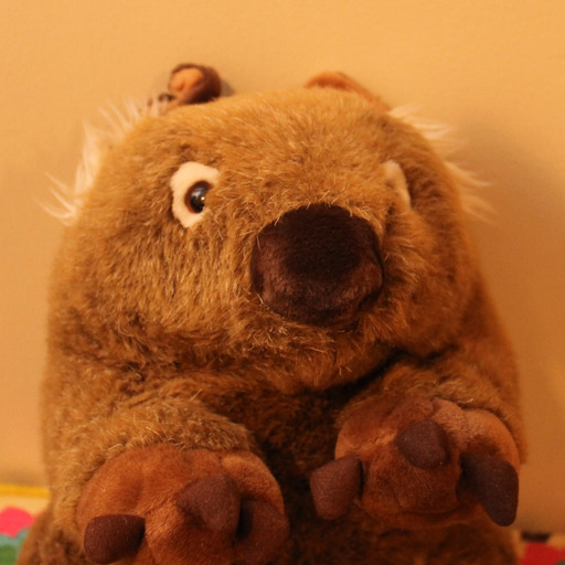 Tasmania seeks 'Chief Wombat Cuddler' for orphaned baby Derek