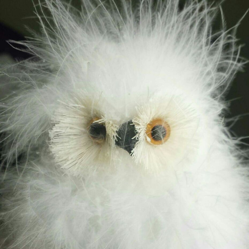 abby-gailx:  owlcoats: owlcoats:  Happy cat  @mostlycatsmostly