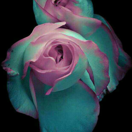 bonitadulce:  So incredibly sensual. I love this!!