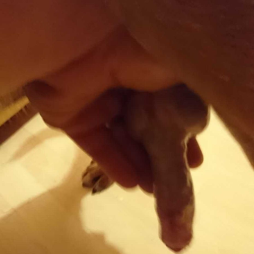 myslutywife