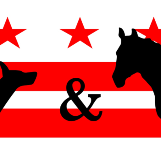 dog & pony dc: I 