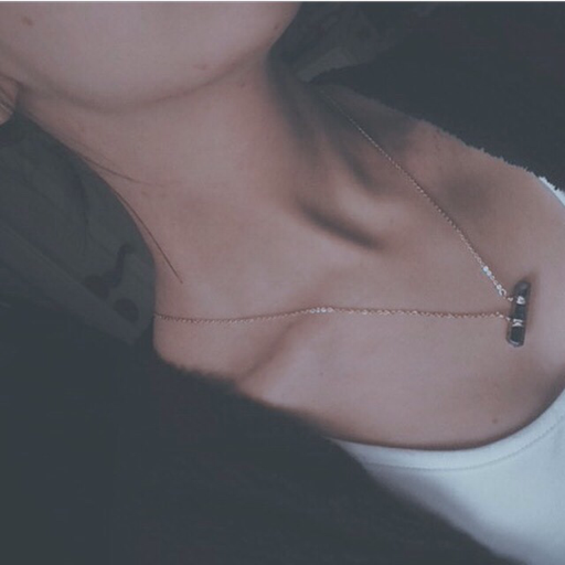 itsstuckyinmyhead:  lesbiansinouterspace:  I don’t have that