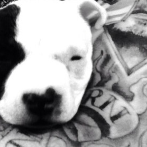 green-eyed-tiger: pitbulls-and-tattoos:    Always 💞💞💞