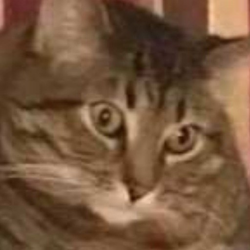 kingshire:  do you ever wonder if someone’s like secretly in