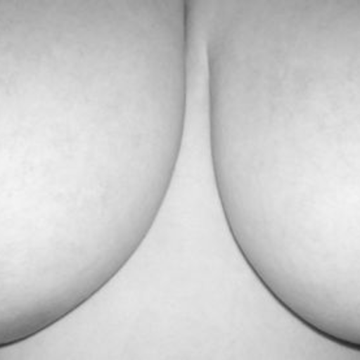 plumpmilf:  http://plumpmilf.tumblr.com/ Ass Lovers Part 2  