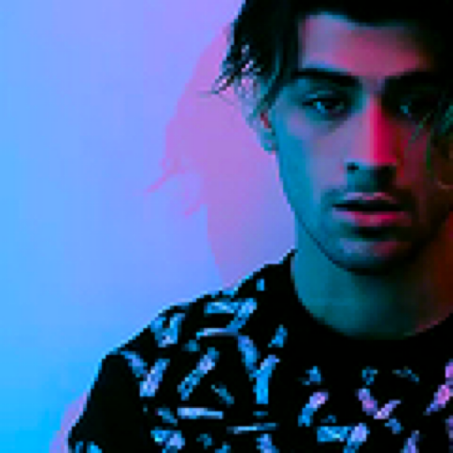 LEAVE. ZAYN. ALONE.