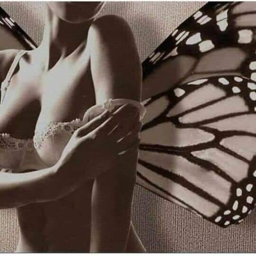 freetoflybutterfly: