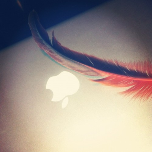 slimvicious:  -All Falls Down