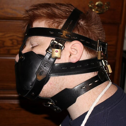 kinkywolfe: Was tied up or gagged all weekend