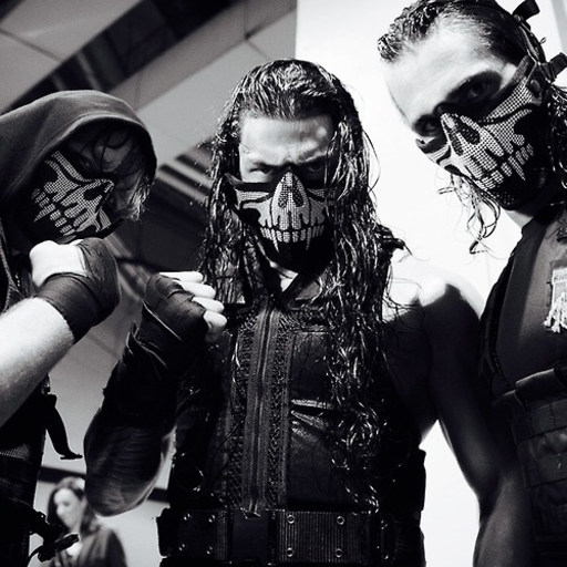 Wade Barrett's opinion on The Shield.