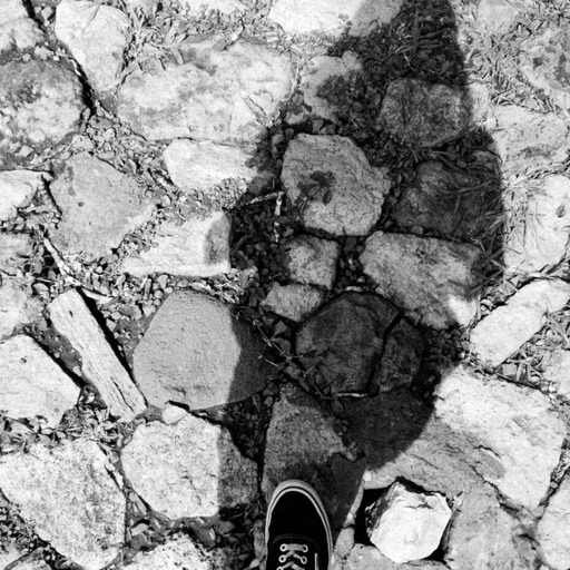 marianawilliams7.tumblr.com/post/160560986289/