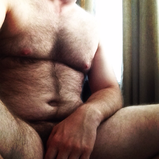 abearcollection:  Hot!