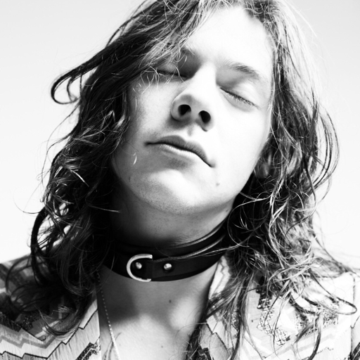 dont-knock-it-till-you-try-it:  harry represent everyone