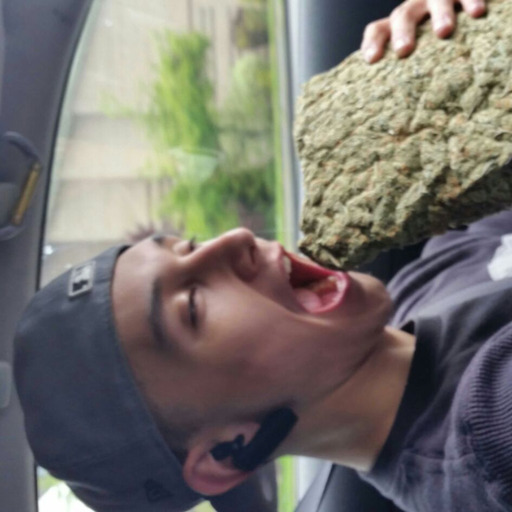 grape4rape:  ayechaaastity:  ayokiko:  johndelabruz:  leeosaurus: