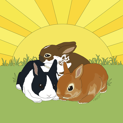 bunnies-and-sunshine:  Bunnies being silly! Simon and River were