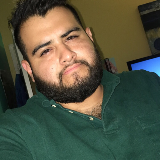 fluffytookatumble: