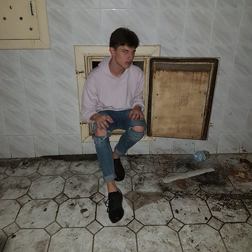 harmonia upada