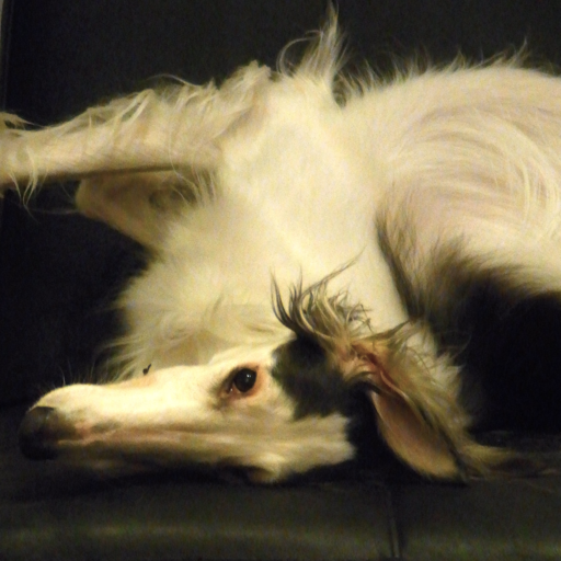 strawberryjayne: Borzoi love 