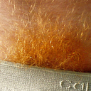 http://64.media.tumblr.com/avatar_81d434419e4b_512.png