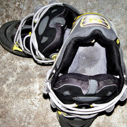 kicksforpigs:  pod1a:  saugeil  Woof 
