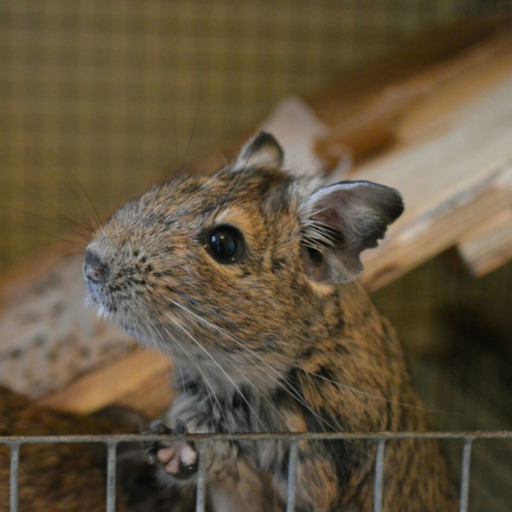 ethilee:  sillydegu:  … what are you doing Scott?  Monday’s
