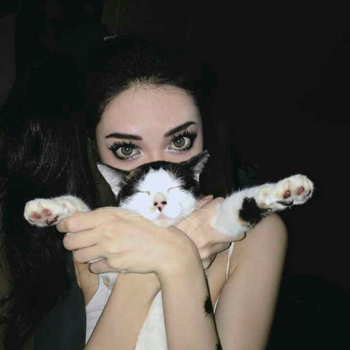 fuck me not my feelings