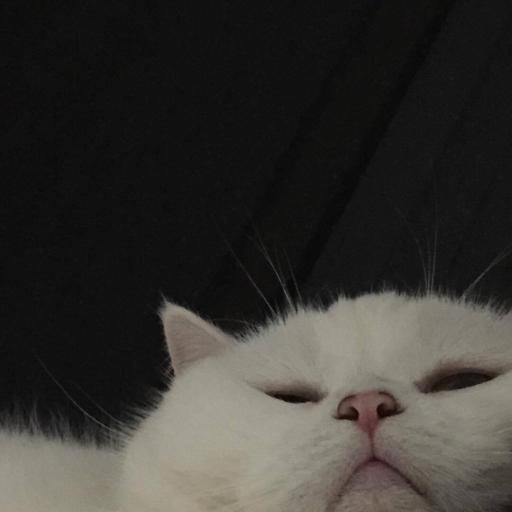 stumpclub: when u have a 2am mental breakdown but u wake up fine