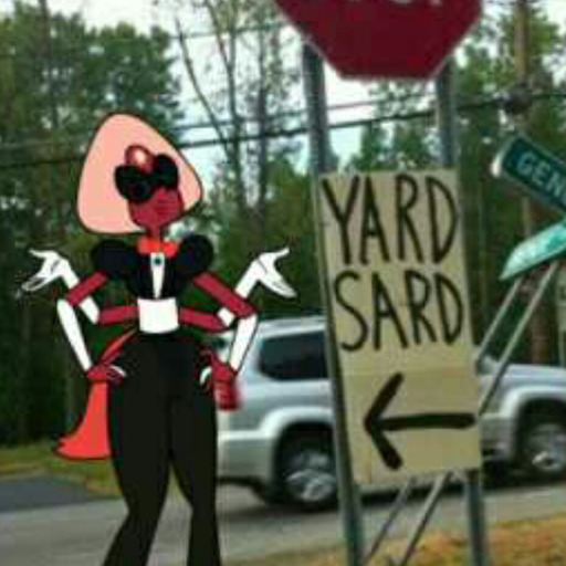 sardonyxprotectionsquad:  