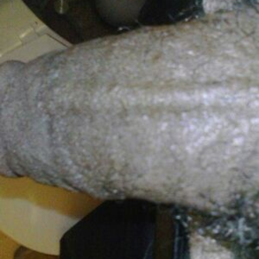 letmeseethatsquirt