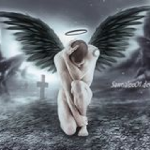 ...Fallen angel.......